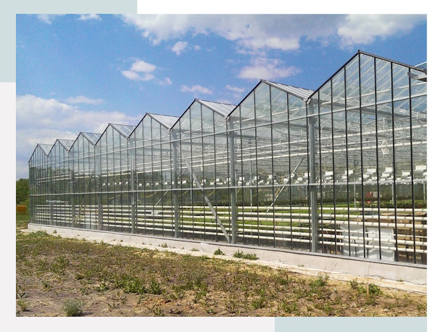 Строительство теплиц в Каменка от 607 руб. за м²